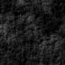 black2.jpg